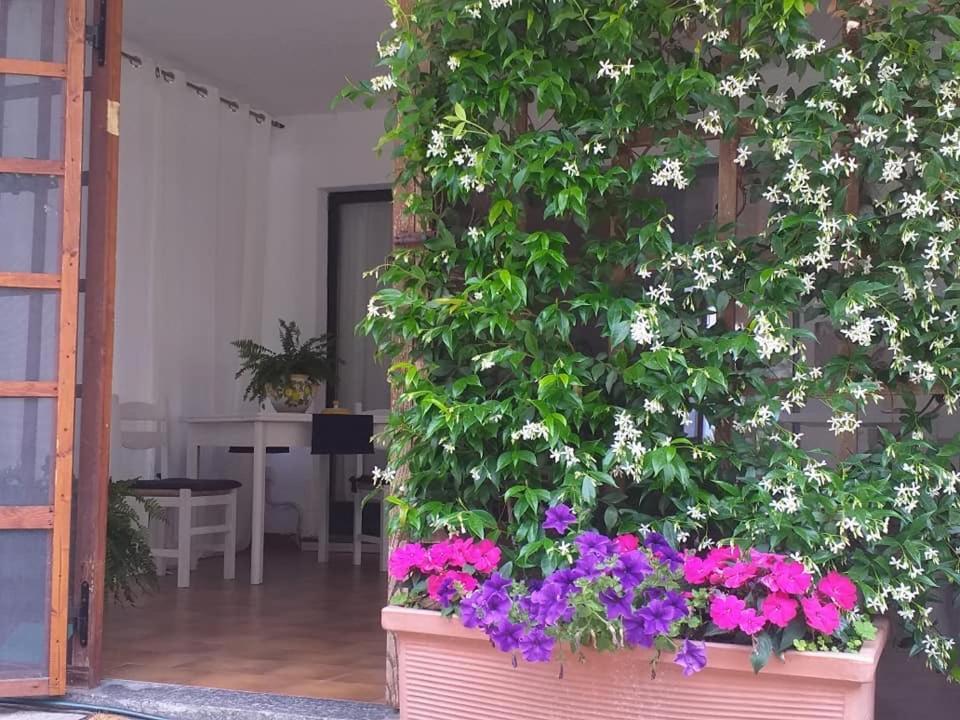 Alla Ghigliotta Viverone Dış mekan fotoğraf
